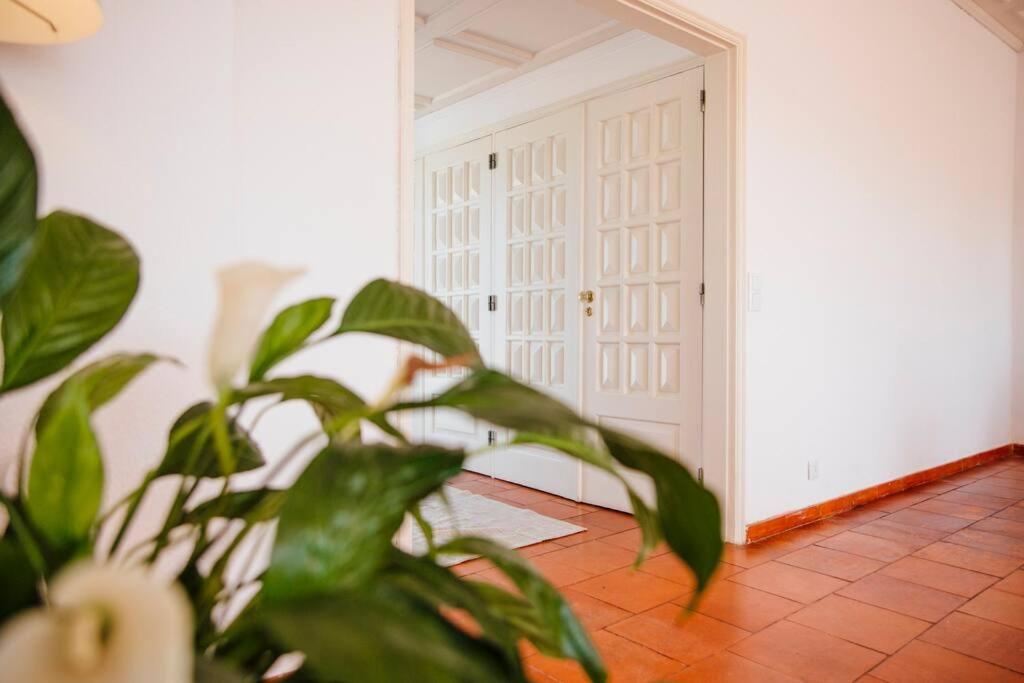 Ferienwohnung Penthouse S.Jorge Seaview T4 Quarteira Exterior foto